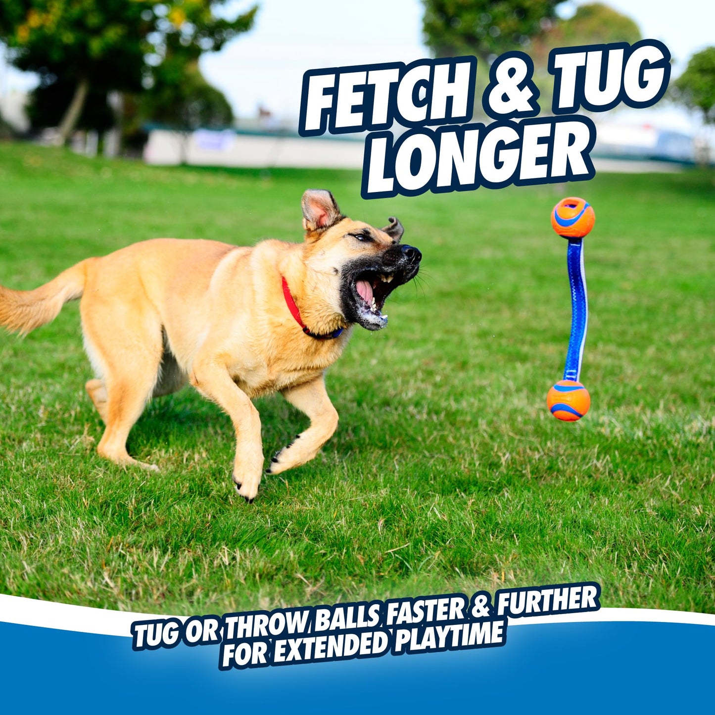 Chuckit! Ultra Tug Duo Dog Toy With Two Rubber Balls Tug Of War Interactive Fetch Toy for Dogs, Medium
