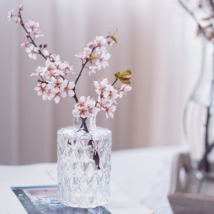 Mini Clear Glass Vase,Small Flower Bud Vase Hydroponics Planter Decorative for Flower,Table,Party,Home,Centerpieces(Clear 6)
