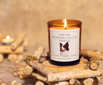 Border Collie Gifts & Decor, Dog Mom Gifts for Women, Smells Like Border Collie Farts Candle - Lavender & Eucalyptus, Crafted by Natural Soy Wax & Natural Essential Oils