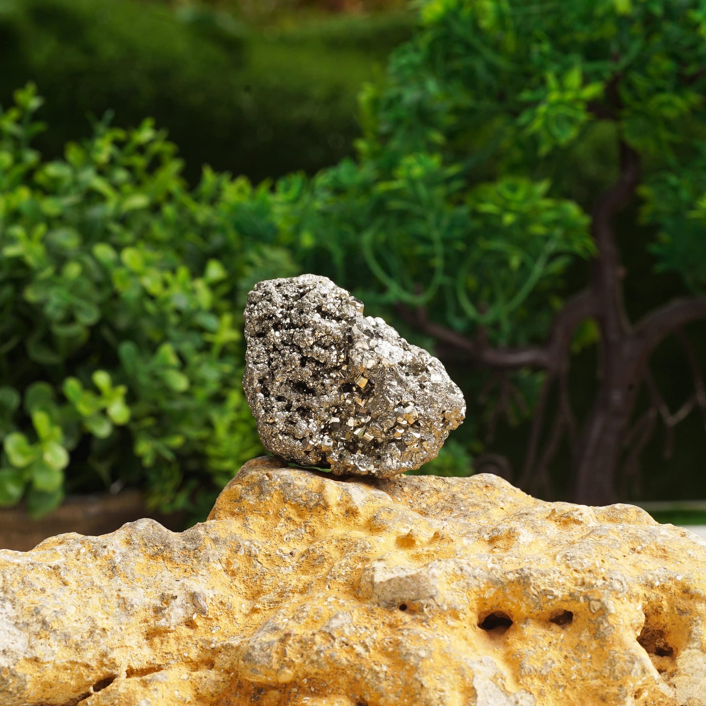 Handcrafted Crystal Showpieces – Unique Gift for Home & Office Décor Crystal Set of 5- - Pyrite for Wealth • Confidence • Increases Assertiveness- 3 +1 Natural form Stones & 1 SHUNGITE Protection Chip