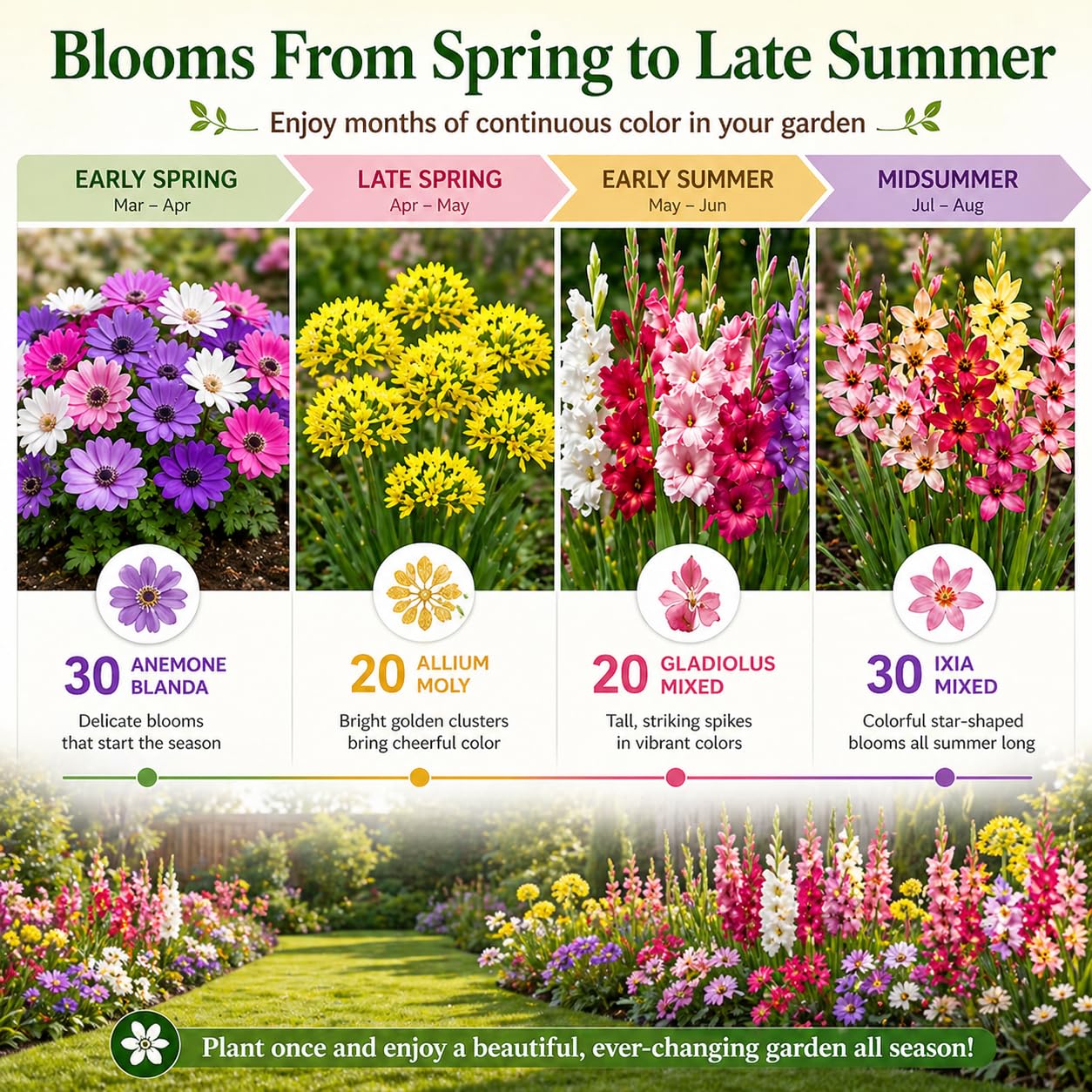 100 Premium Bulbs for Spring and Summer Flower Mix – Anemone, Gladiolus, Allium & Ixia – Easy-Grow Perennial Garden Flowers – Attracts Bees, Butterflies & Hummingbirds – Outdoor Planting