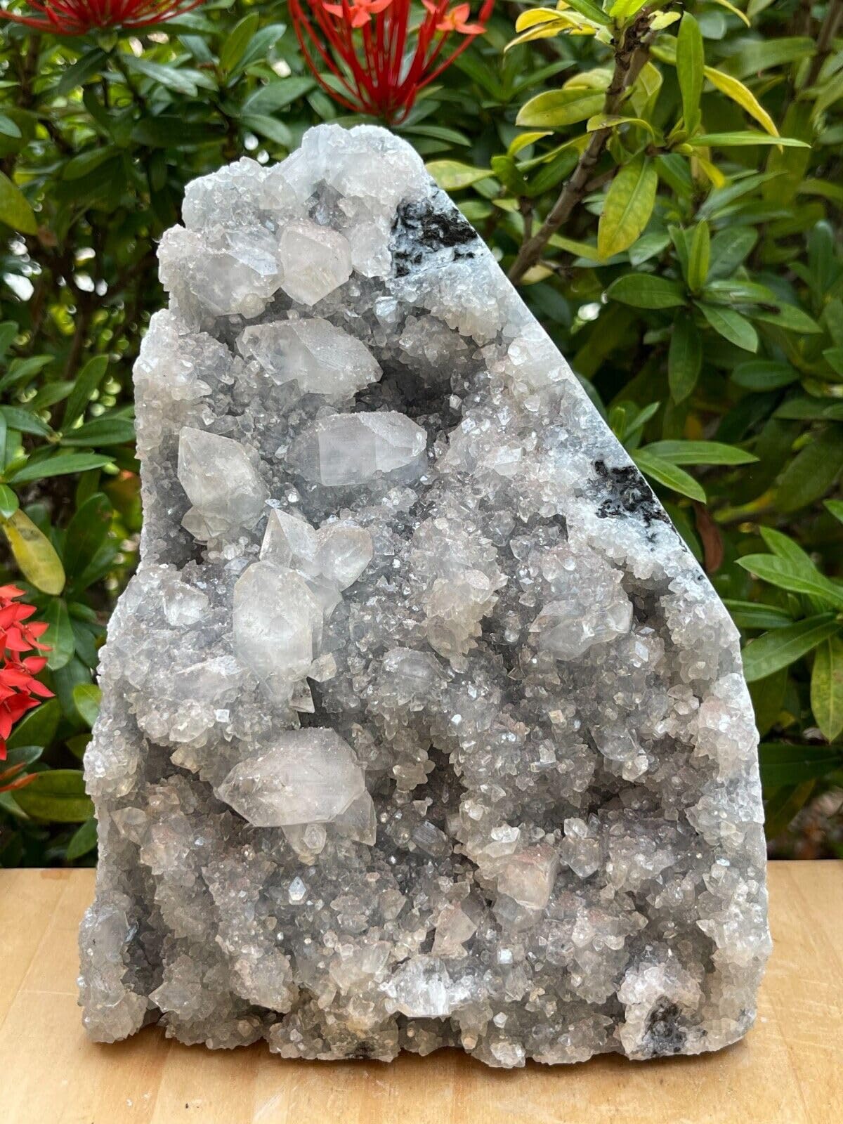 GAF TREASURES Apophyllite Cluster Geode Free Standing | Natural Apophyllite Crystal Display Piece | 0.5–9 lbs | Healing, Decor & Collectible Mineral