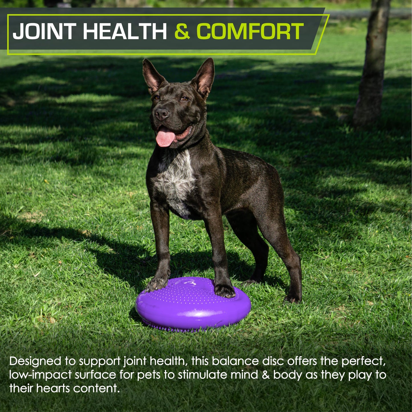 ProsourceFit Core Balance Disc Trainer, 14” Diameter with Pump for Improving Posture, Fitness, Stability