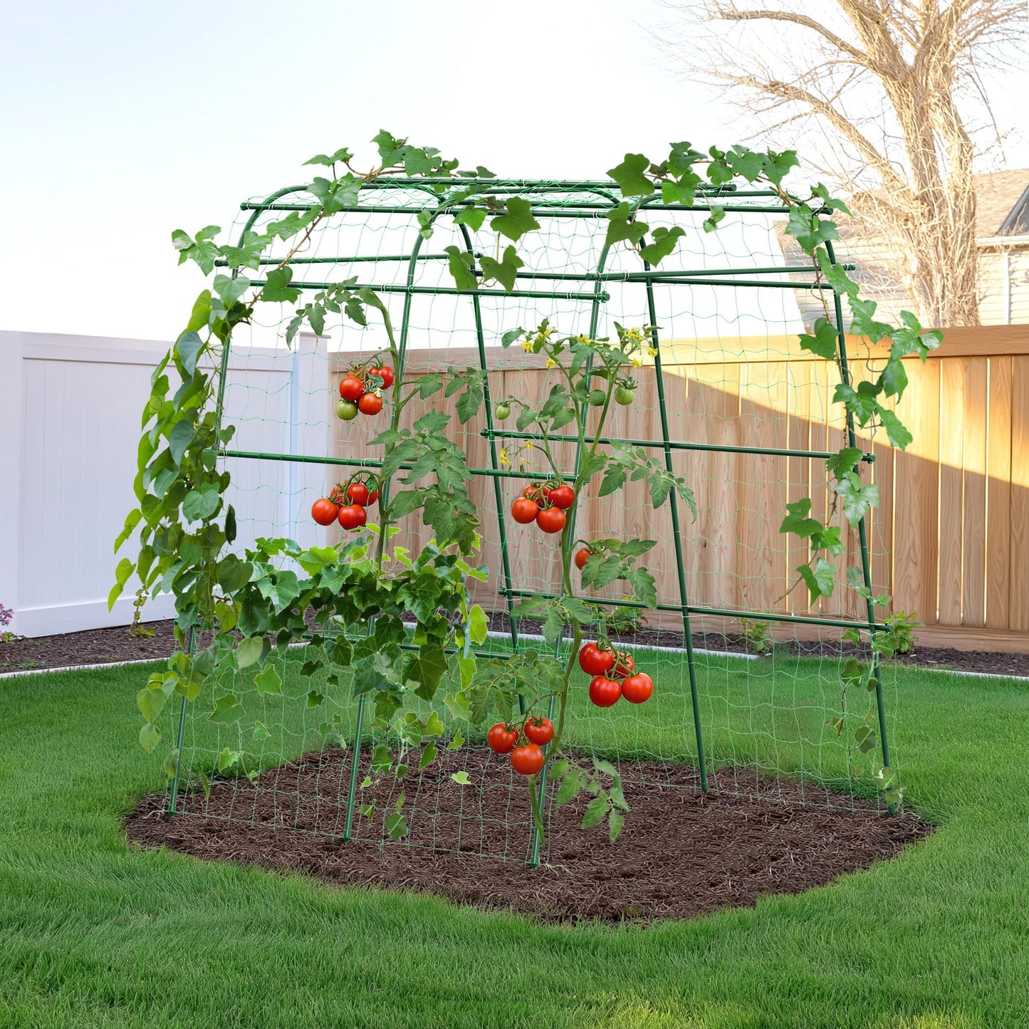 HIRALIY Garden Arch Trellis for Climbing Plants, 6.3ft Tall Heavy Duty Metal Cucumber Trellis, Rustproof Plant Support Tunnel for Tomato, Grape, Bean, Raised Bed and Vegetable Gardens, Green