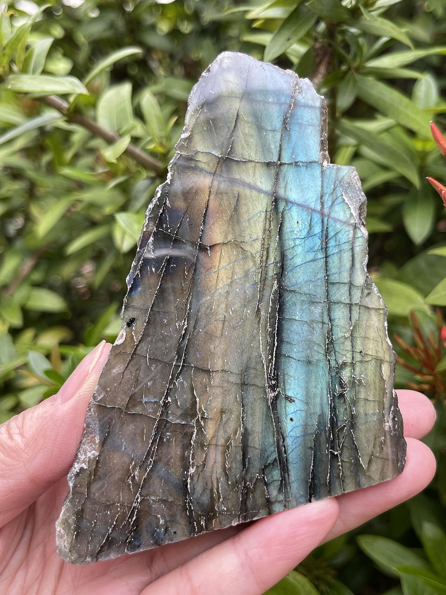Natural Labradorite Slab, High Flash Free Standing Display Specimens, Raw Labradorite Slab Cut Base (0.5-1 lb)