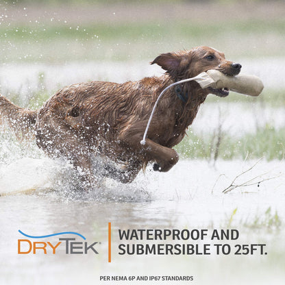 SportDOG Brand SportHunter 825X Dog Training Static Collar with Remote, 1/2 Mile Range Waterproof Dog E-Collar, Submersible up to 25 Ft, Rechargeable Training Device with Static, Vibrate and Tone