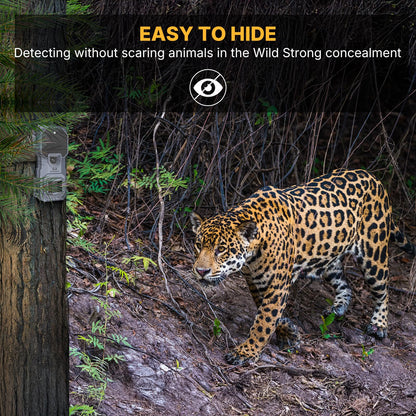 WOSPORTS Trail Camera 4 Pack 32MP 1080P HD Deer Camera with 32GB SD Card Game Cameras with Night Vision Motion Activated Waterproof for Outdoor Wildlife Monitoring with Card Reader