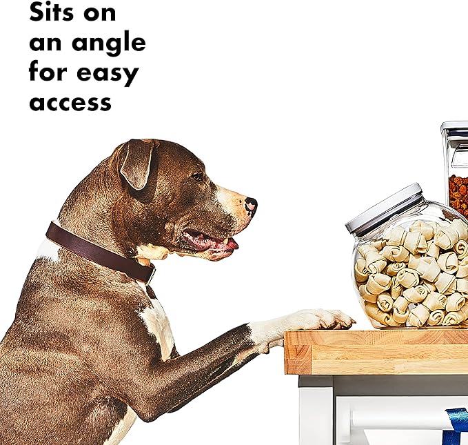 OXO Good Grips Pet POP Container – 3.0 Qt/2.8 L | Ideal