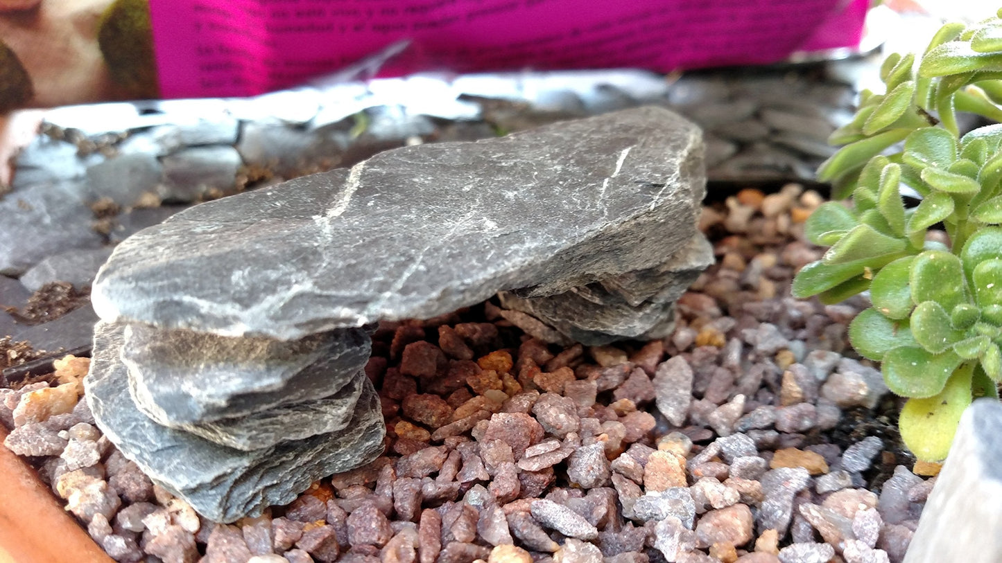 Natural Slate Stone 1 to 3 Inches - USA Sourced and Packaged for Aquascaping Aquariums, Terrariums, Paludariums, Reptile Enclosures, Wargaming, Models, Mosaic Art, Miniature Fairy Gardens (2lbs Grey)