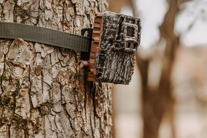 Browning Strike Force Pro DCL Nano Trail Game Camera Bundle Includes Sub Micro Security Box + 32GB Memory Card + J-TECH Card Reader (26MP) | BTC5DCLN