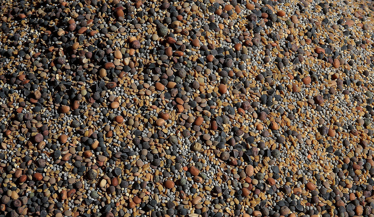 No-Till Cover Crop 13-Seed Mix (½-lb): [50% Clovers Plus Fenugreek, Vetch, Flax, Cowpeas, Buckwheat, Forage Peas, Millet, Lentils, Crimson Clover, Sweet Yellow Clover, White Clover, Medium Red Clover]