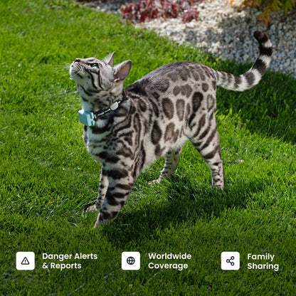Tractive Smart Cat GPS Tracker | Real-Time Location & Wellness Monitoring for Cats 6.5 lbs+ | Territory & Location History | Up to 5-Day Battery | Breakaway Collar Included (Dark Blue)