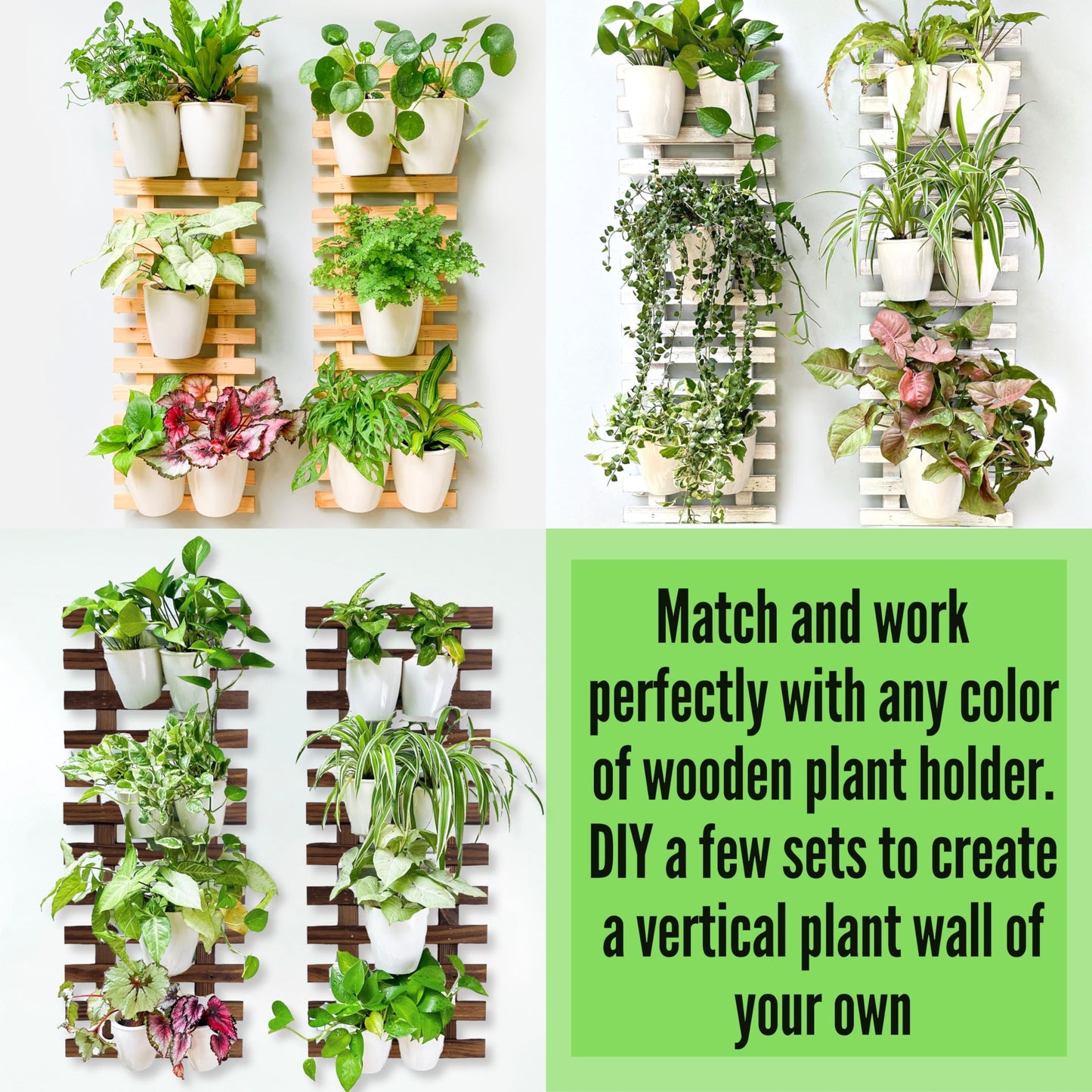 LáLáGreen Wall Planters for Indoor Plants - 10 Pack, 4 Inch Self Watering Planters and Pots, White Wall Mount Planter Plant Holder, Modern Hydroponic Wall Pots Vertical Living Plant Garden Decor