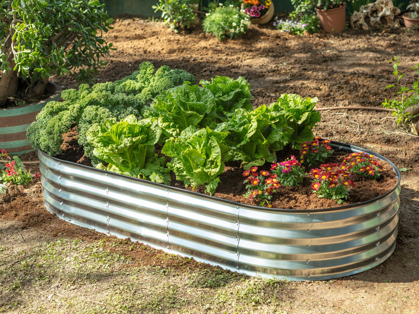 Plant & Plot Galvanized Raised Garden Beds Outdoor // 6×3×1 ft (2-Pack) Planter Raised Beds for Gardening, Vegetables, Flowers // Large Metal Garden Box // Patented Tool-Free Design (Silver)