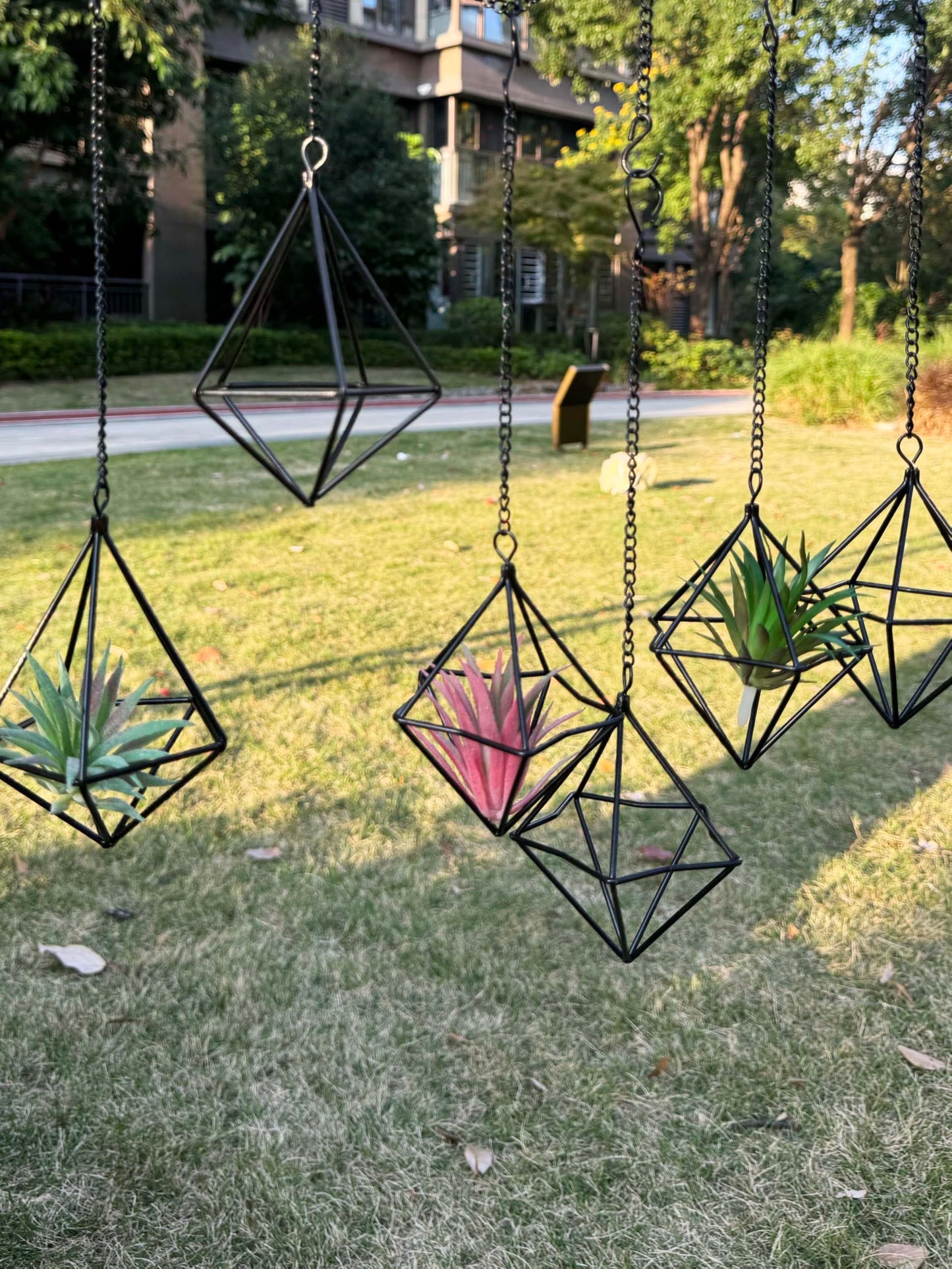 PUDAPU 6 Pack Hanging Metal Air Plant Holders with Chain, Black Geometric Tillandsia Air Plant Hanger Cages, 2 Styles Mini Iron Air Plants Live Holders for Home Office Garden Decor