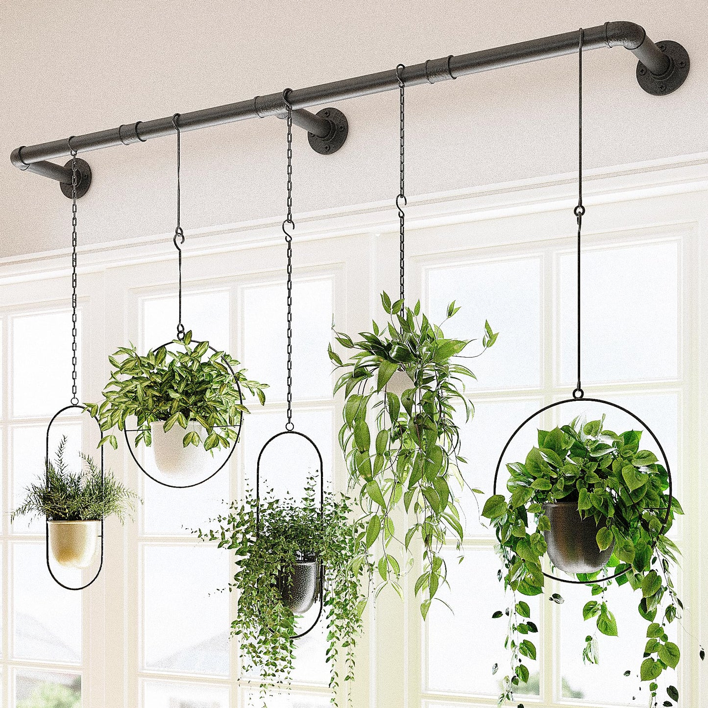 Bamworld Window Plant Hanger Indoor 63in Hanging Planters for Indoor Plants Hanging Plants Holder Hanging Rod Window Plant Shelves Wall Planters Pot/Chain/Plant Not Included(Black)
