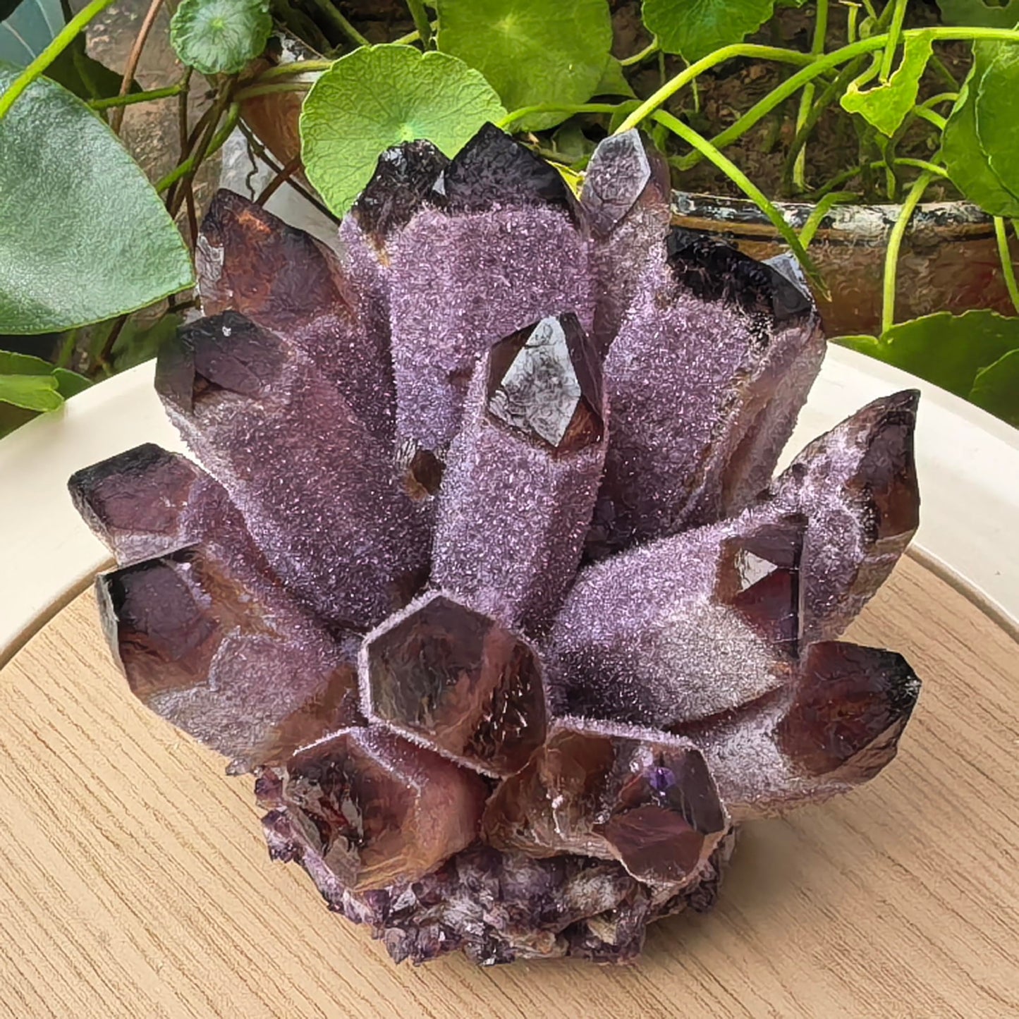 Crystal Cluster Electroplate Natural Quartz Mineral Specimen for Home Decor,Reiki Healing, February Birthstone Gift (Amethyst)