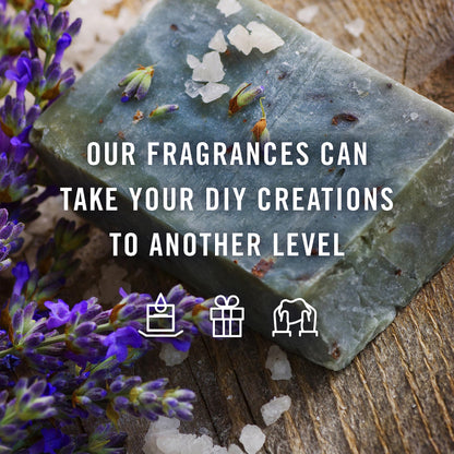 P&J Trading Fragrance Oil Winter Set | Candle Scents for Candle Making, Freshie Scents, Soap Making Supplies, Diffuser Oil Scents