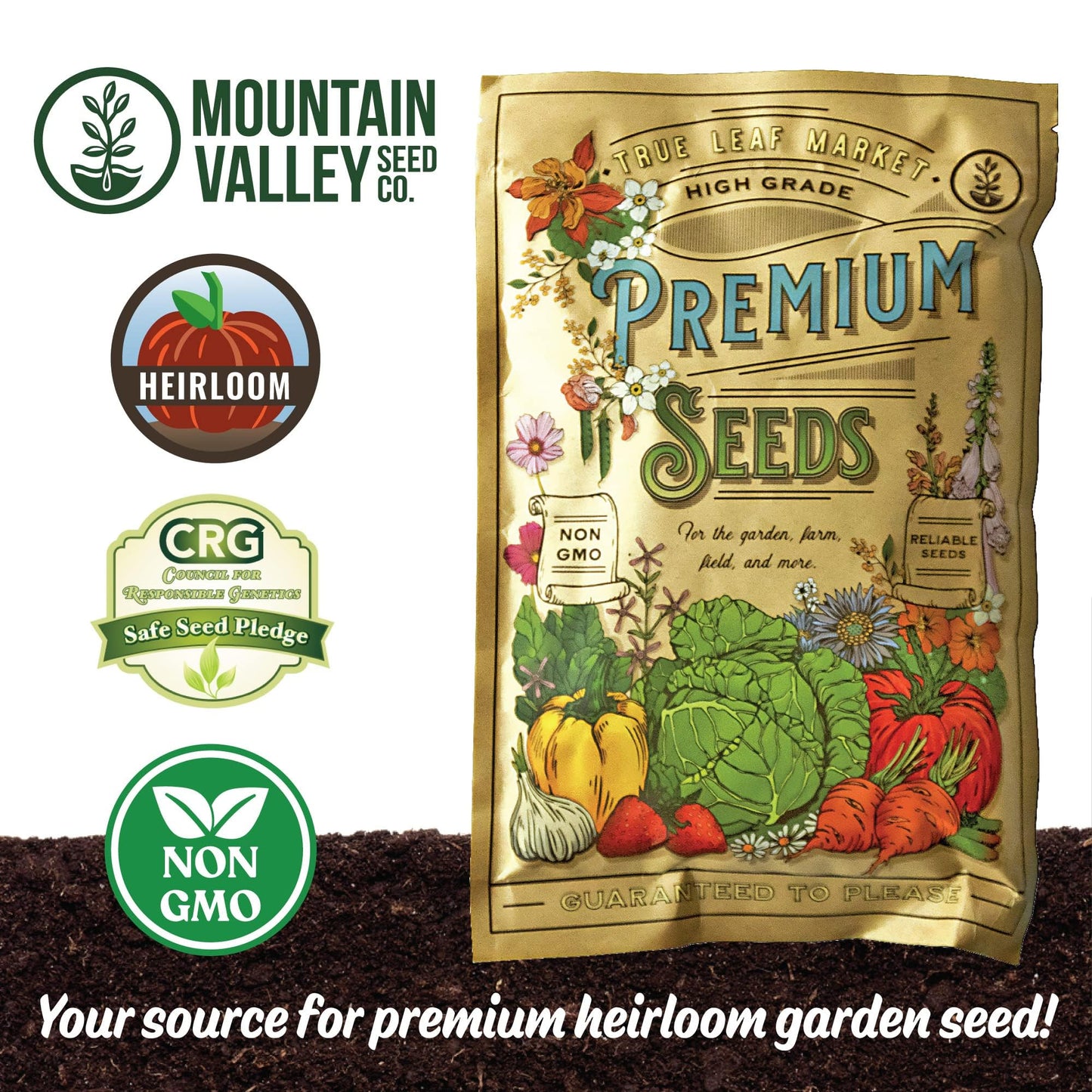 Moringa Seeds for Planting - 10 g Packet ~30 Seeds - Grow Moringa Seeds to Eat - Moringa Plant Tree Seedlings - The Tree of Life, Moringa Oleifera