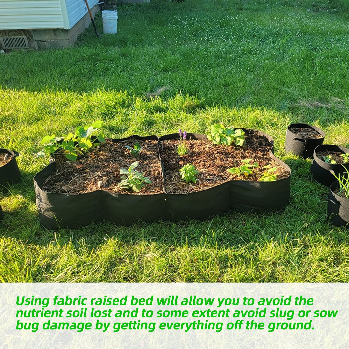 CJGQ 2 Pack Fabric Raised Garden Bed 6x3x1ft Garden Grow Bed Bags for Growing Herbs, Flowers and Vegetables 128 Gallon…