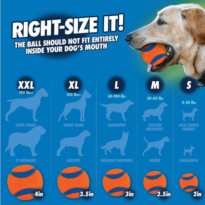 Chuckit! Fetch & Fold Dog Ball Launcher Pick Up and Throw Hands Free Dog Toy Rubber Fetch Ball Thrower Set