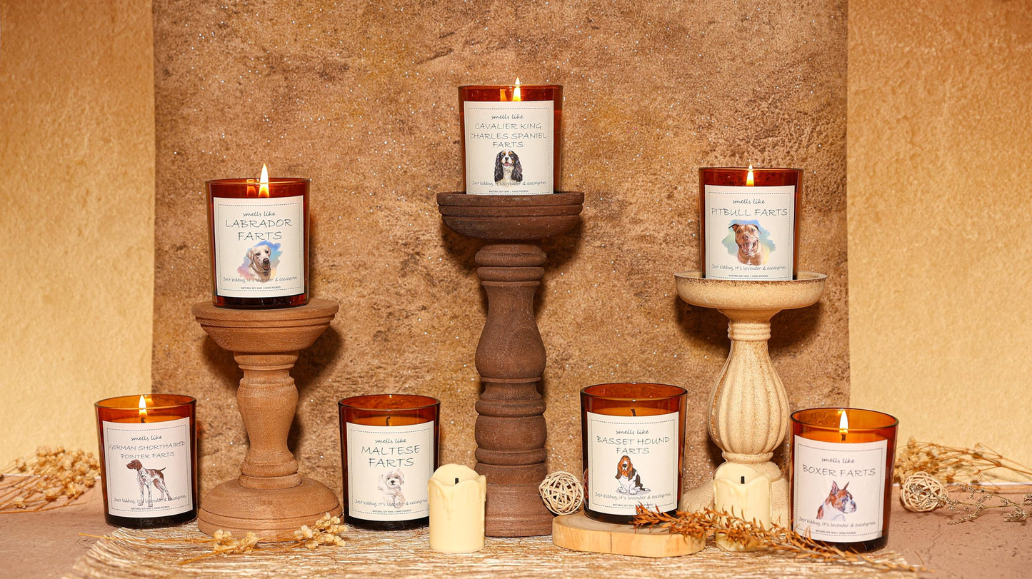 Cavalier King Charles Spaniel Gifts & Decor, King Charles Cavalier Gift, Dog Mom Gifts, Dog Farts Candle - Lavender & Eucalyptus, Crafted by Natural Soy Wax & Natural Essential Oils