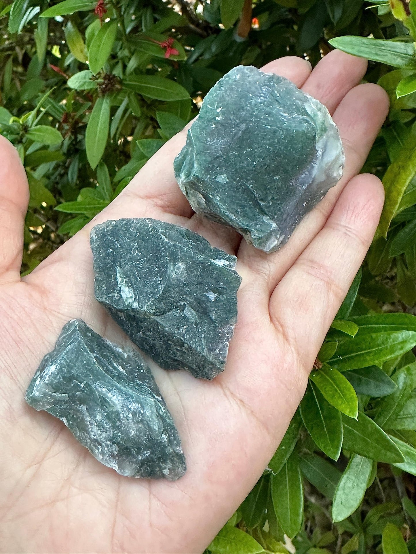 1 Pound Raw Tree Agate - Natural Tree Agate Stone, Natural Rough Tree Agate, Tree Agate Rough, Tree Agate Rocks (Tree Agate)