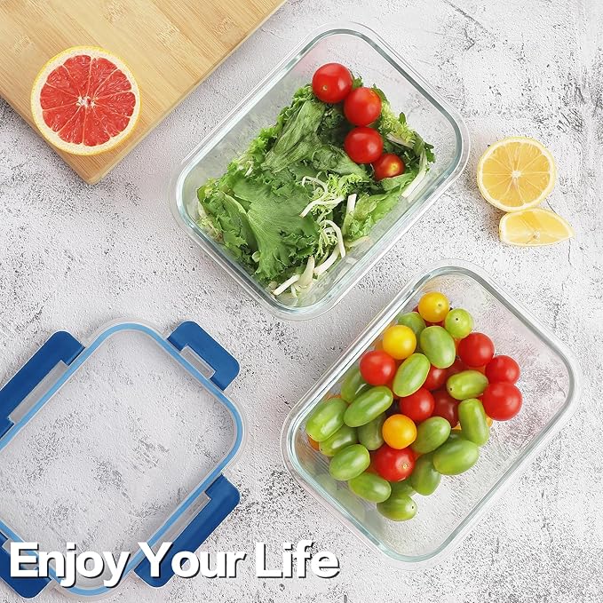 10 Pack Borosilicate Glass Meal Prep Containers