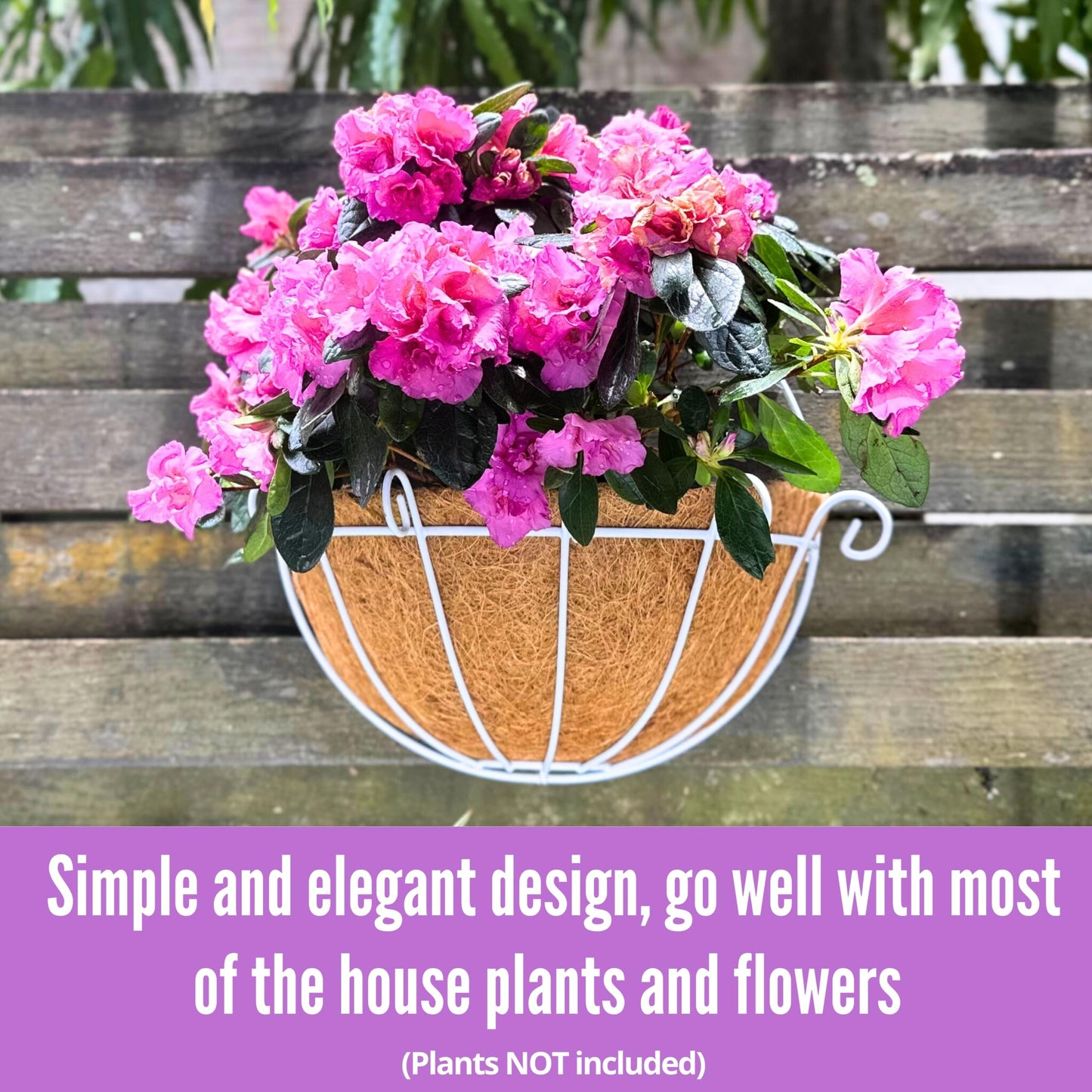 Shoplala Wall Planters Outdoor Plants (2 Pack, 10 Inch) White Metal Wall Mounted Flower Basket with Coco Liner, Balcony Planters Railing Hanging Fence Planter Wire Deck Porch Patio Modern Garden Decor