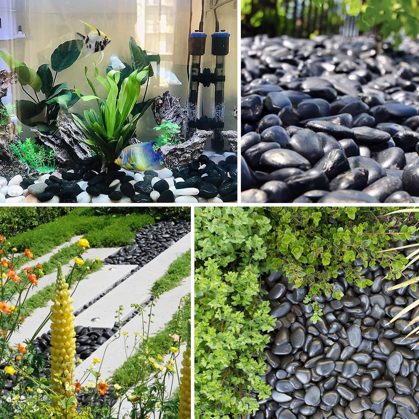 VINICS 5lbs Large Pebbles for Indoor Plants, 2-3 Inch Natural Black River Rocks for Aquarium, High Polished Decorative Stones for Vase Filler Fish Tank Landscaping Garden
