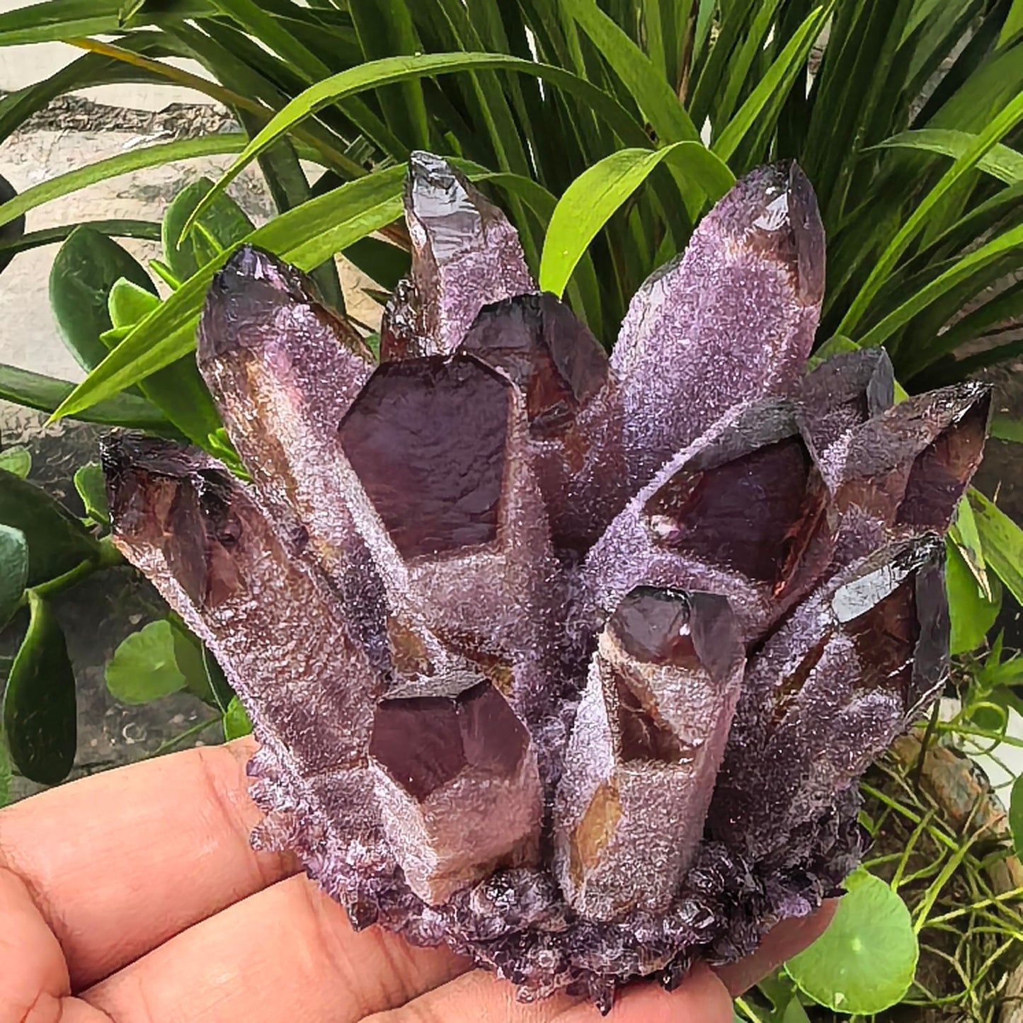 Crystal Cluster Electroplate Natural Quartz Mineral Specimen for Home Decor,Reiki Healing, February Birthstone Gift (Amethyst)