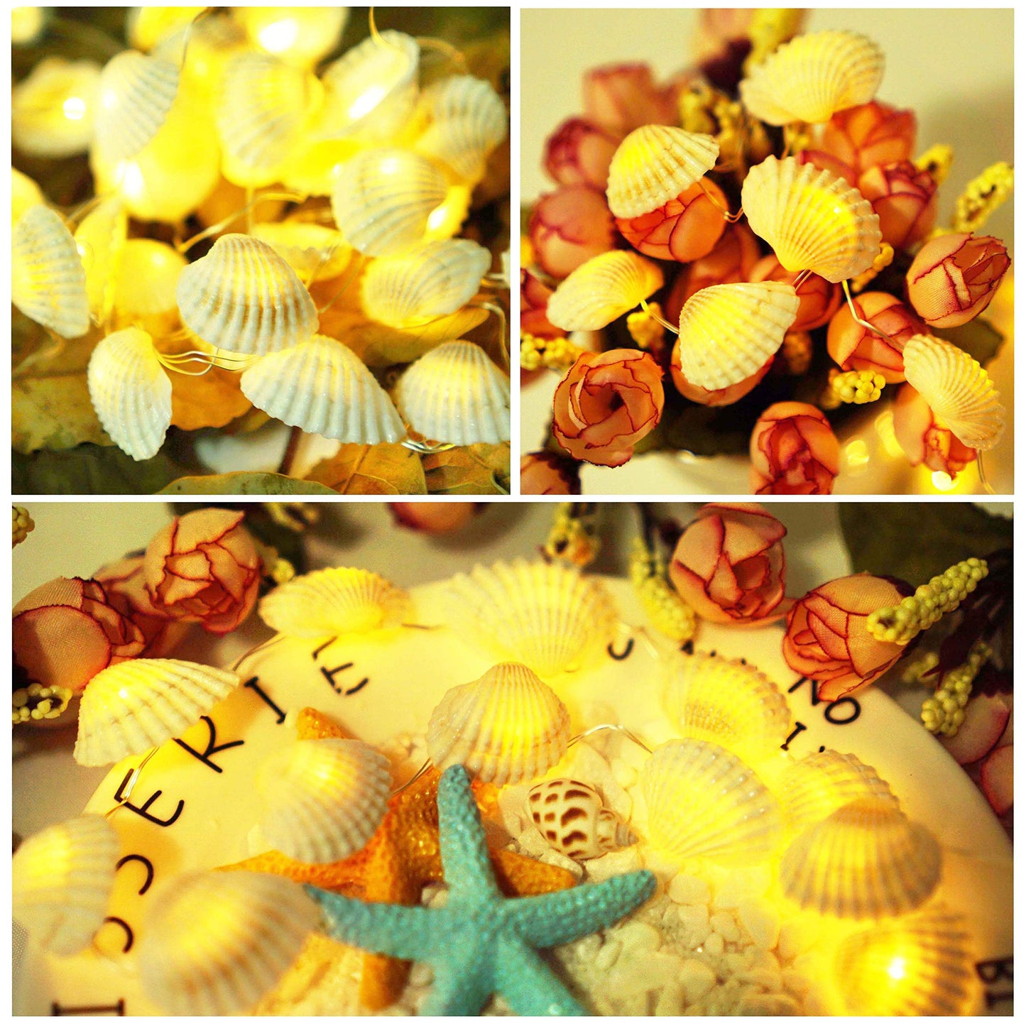 Cynzia Natural Seashells String Lights, 40LED Beach Decoration USB Plug in with 8 Modes Remote Control, Waterproof Ocean Fairy Lights for Bedroom Party Indoor Outdoor Wedding Holiday Christmas