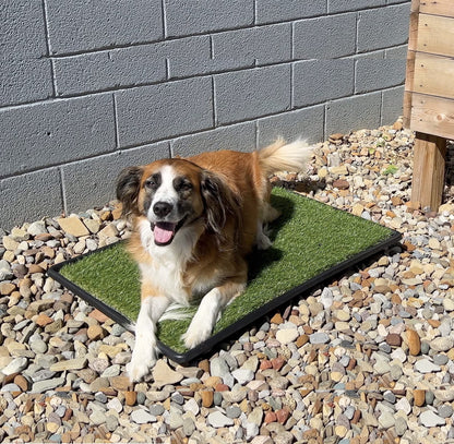 PICK FOR LIFE Dog Grass Toilet, Large size 51 x 63.5 cm, Indoor Outdoor Dog Potty Systems, Portable Toilet with Fake Grass and Tray, Reusable Trainer Tray for Puppy Training