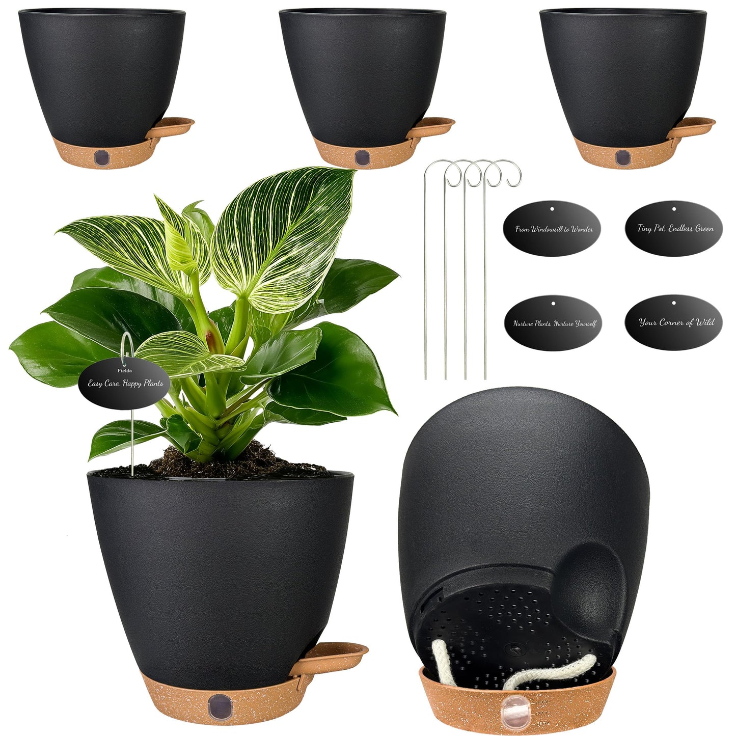 6 Inch Self Watering Pots for Indoor Plants(5-Pack) – Small Plastic Planters with Water Level Window, Drainage Holes & Detachable Trays, Indoor Outdoor Flower Pots for Herbs, Snake,Pothos(Black)