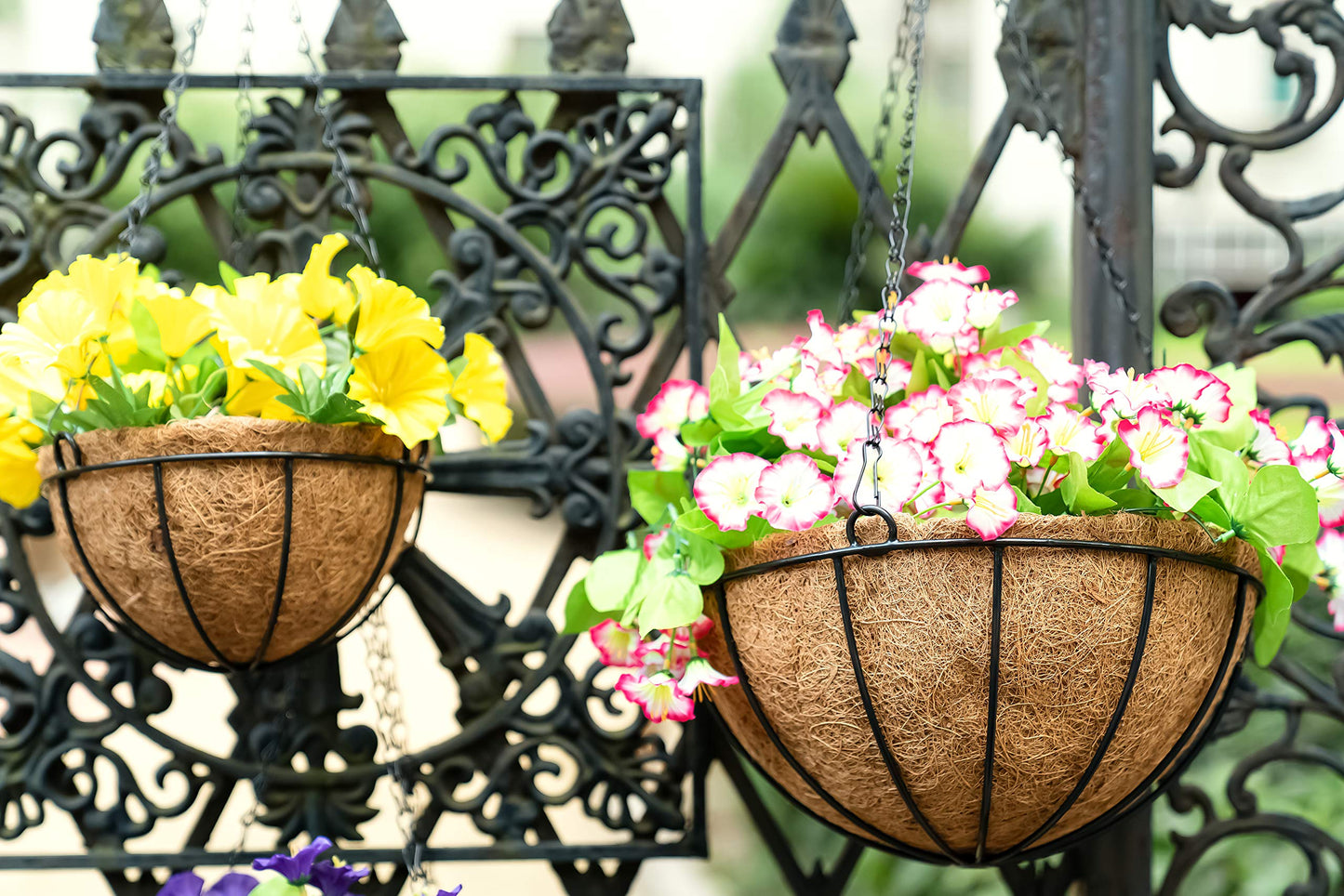 Kingbuy 8" Metal Hanging Plant Baskets with Coconut Liner (1 Pack) - Farmhouse Wire Planters Flower Pots for Plants Ferns Indoor Outdoor Balcony Patio Garden Decoration