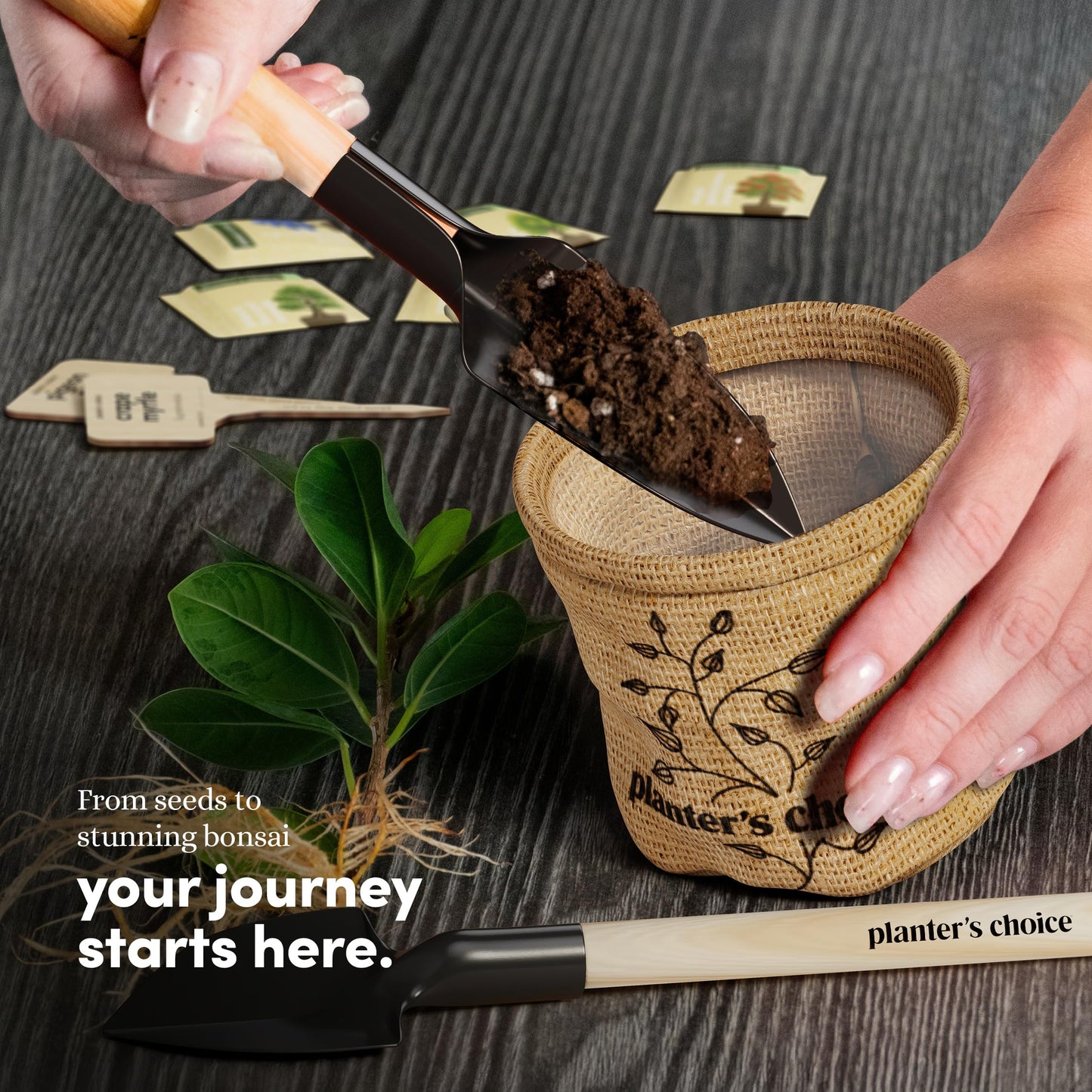 Planter's Choice Bonsai Tree Starter Kit - Mothers Day Gifts for Women, Men - Birthday Gifts for Adults - Indoor Live House Plants - DIY for Adults Craft Kits - Unique Hobby Gift Gardening Lovers
