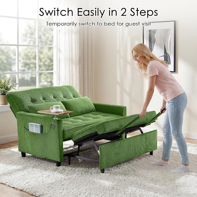 Sleeper Sofa Bed, Guest Room