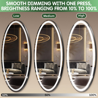 FENNIO 70" x 36" Large Wall Mounted Mirror with LED Lights, Oval Full Length LED Lighted Full Body Dressing Mirror for Bedroom, Salon, Brushed Aluminum Frame, Tempered Glass
