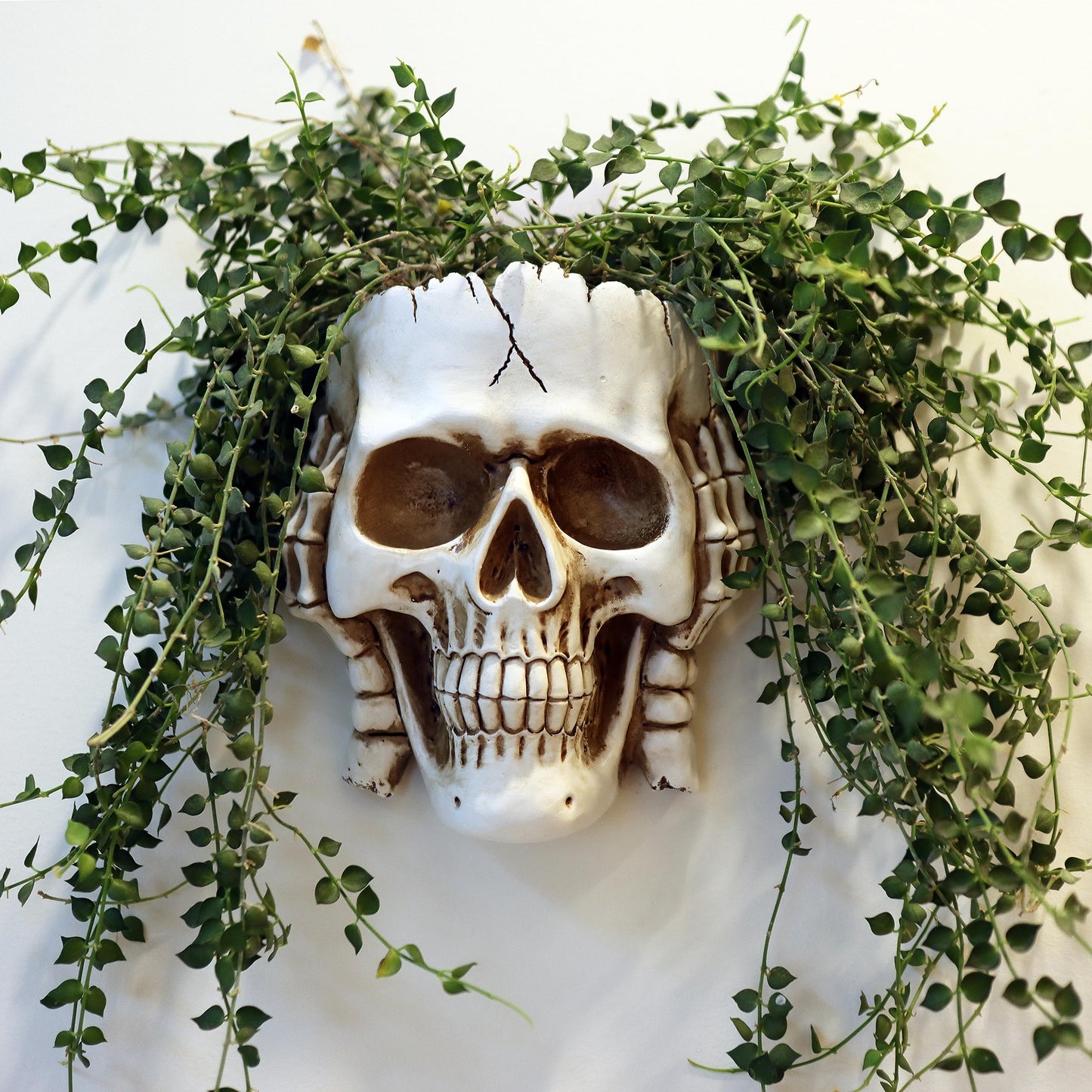 Dolkgy Skull Wall Planter for Home Décor, Hanging Skull Vase Unique Face Flower Pot Head Planters, White Resin Skeleton Gothic Planter for Indoor Outdoor Plants Decorations