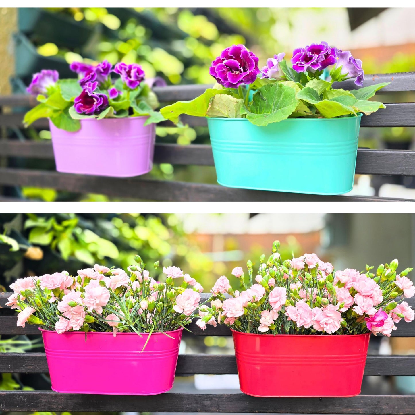 LaLaGreen Outdoor Hanging Planter (11.2 Inch, 6 Pack) Light Purple, Green, Yellow, Cadet Blue, Dark Pink, Red Metal Iron Window Box Flower Pot Deck Railings Balcony Fence Rail Porch Home Garden Decor