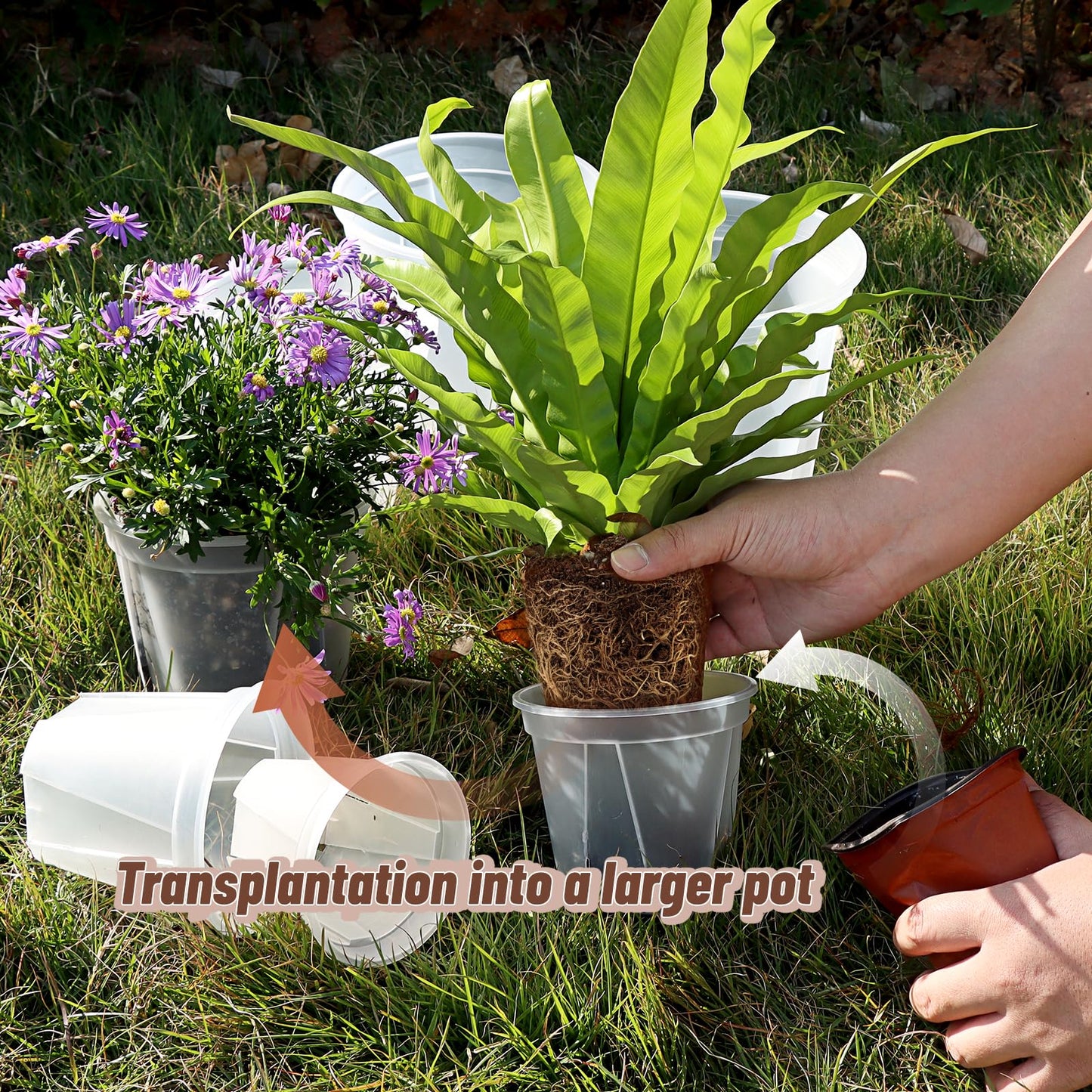 Clear Nursery Pots with Drainage, 30 Pack Transparent Plastic Orchid Planters, 6 Sizes Plant Pots 9.5/8.5/7/6/4.7/4 Inch with 30 Plant Labels for Seedlings, Succulents, Indoor/Outdoor Repotting