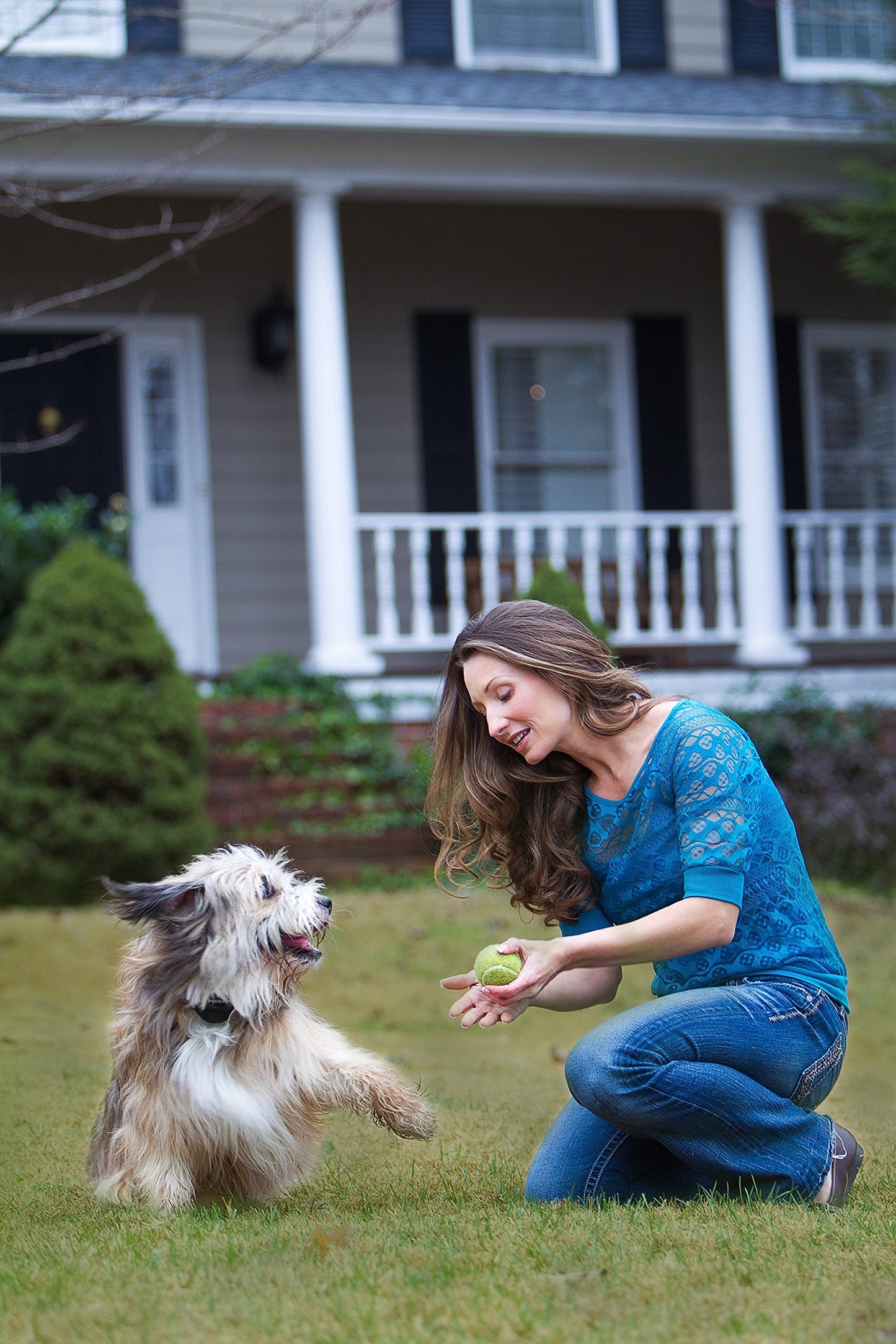 PetSafe Stay+Play Wireless Receiver Collar Blk