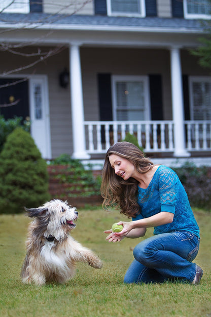 PetSafe Stay+Play Wireless Receiver Collar Blk