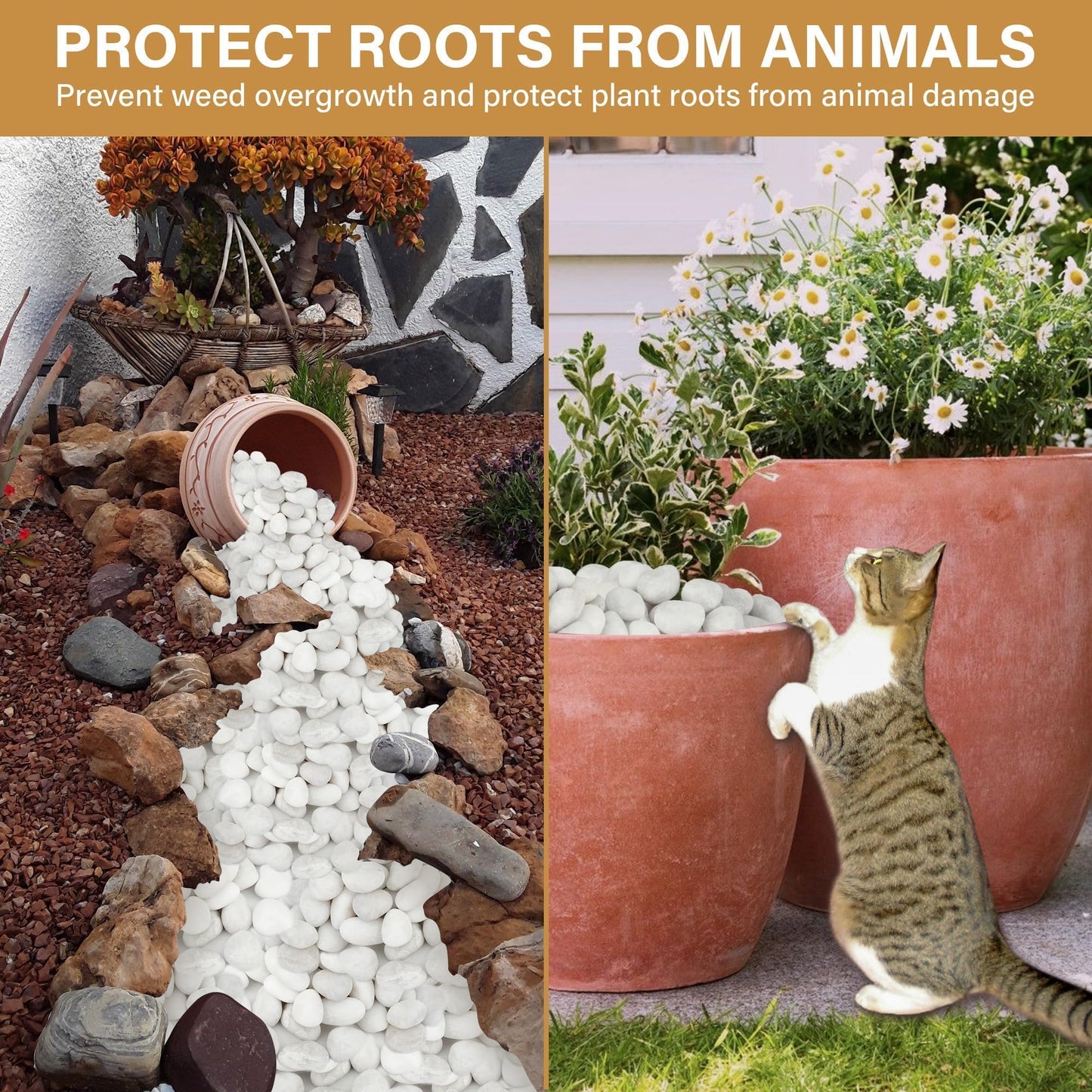 NUPICK 16lb White River Rocks for Outdoor Landscaping, 1-2 Inch Pebbles for Indoor Plants, Natural Polished Aquarium Gravel, Decorative Rocks for Succulent, Garden, Vases Fillers, Bird Baths