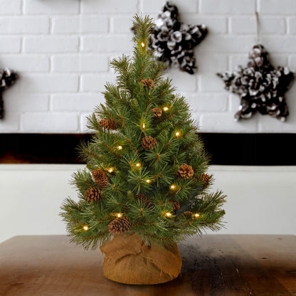 National Tree Company 3 ft Pre-Lit Mini Artificial Christmas Tree, Pinecones, 35 Clear LED Lights, 144 Tips, Timer, Burlap Base, Green