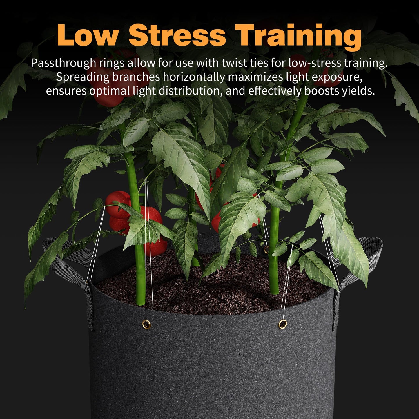 Patigrow Self-Watering Grow Bags, 5-Pack 5 Gallon 420G Thick Nonwoven Fabric Pots with Reinforced Handles and Multi-Purpose Rings, for Low Stress Plant Training Fruits, Vegetables,and Flowers