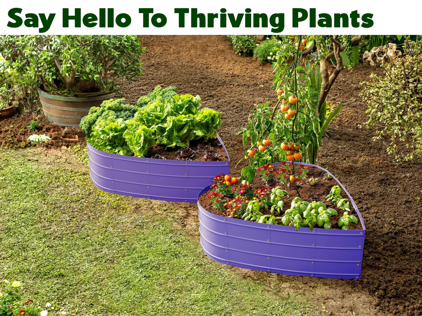 Plant & Plot Galvanized Raised Garden Beds Outdoor // Planter Raised Beds for Gardening, Vegetables, Flowers // Large Metal Garden Box (Purple) // Tool-Free Assembly