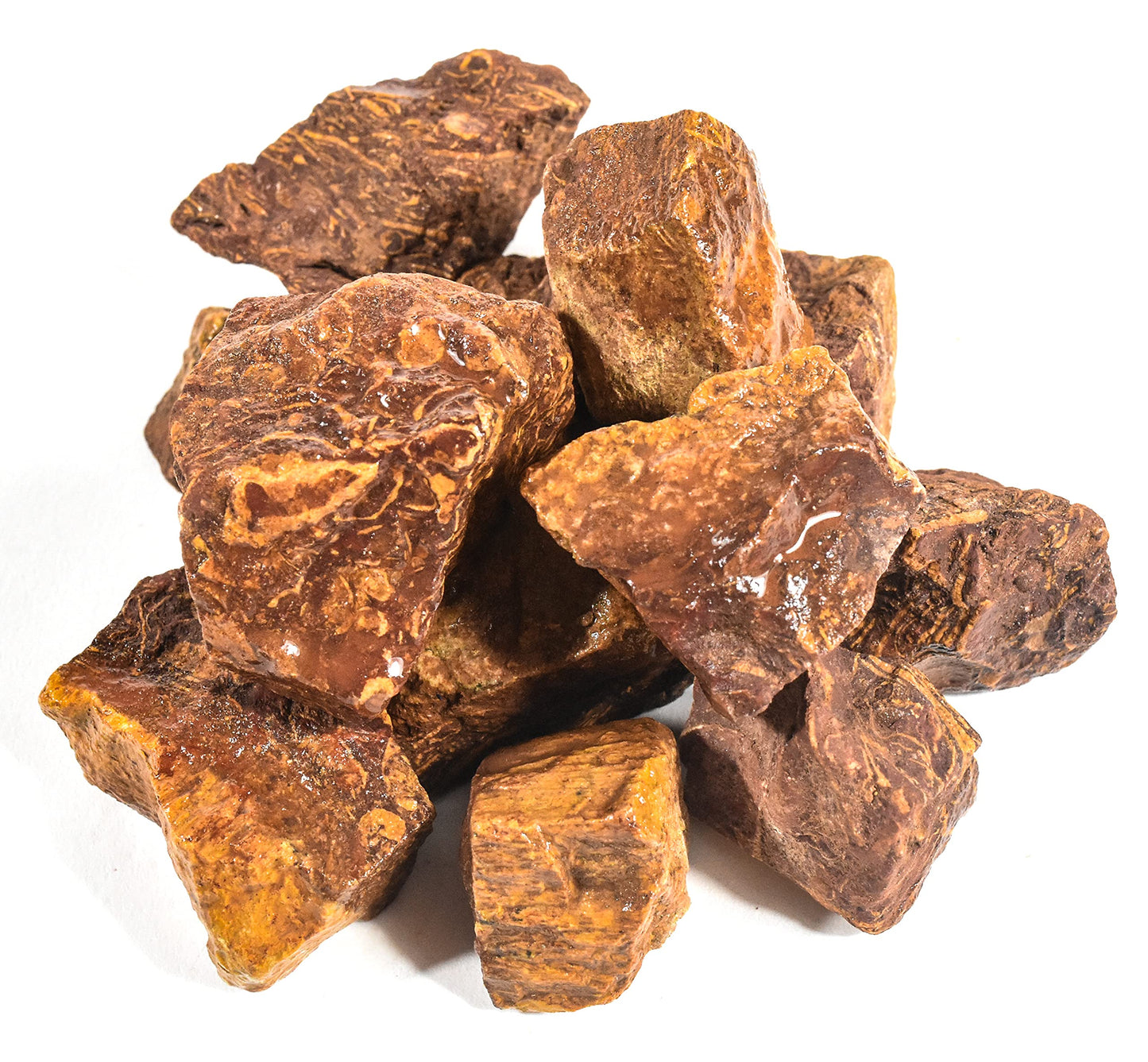 HQRP 10PCS Elephant Skin/Mariam Jasper Rough Stones Natural Fossil Coquina Jasper Crystal Arabic Calligraphy Mineral Rocks - India