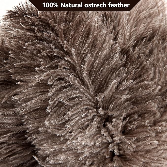 2pcs Ostrich Feather Dusters Natural Feathers Duster