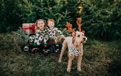 Lazy One Flapjacks, Matching Christmas Pajamas for The Dog, Baby & Kids, Teens, and Adults (No Peeking!, 6 MO)